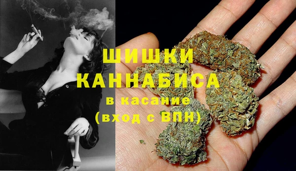 стаф Магадан