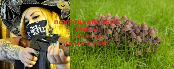 стаф Магадан