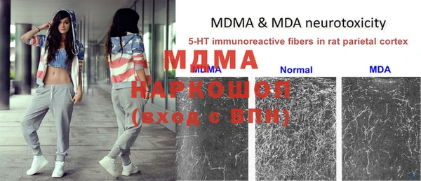 дживик Майский