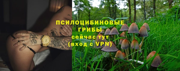стаф Магадан