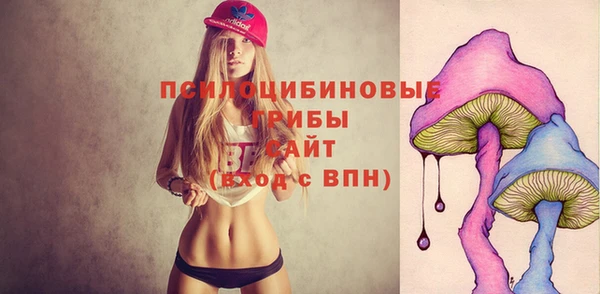 mdpv Магас