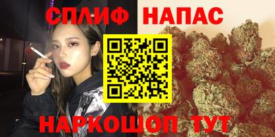 ECSTASY Гусев