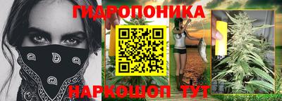 шишки Среднеуральск