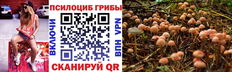 Галлюциногенные грибы Psilocybine cubensis  купить наркоту  Керчь 