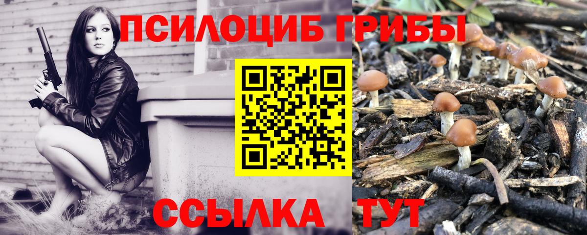 Псилоцибиновые грибы мухоморы Керчь