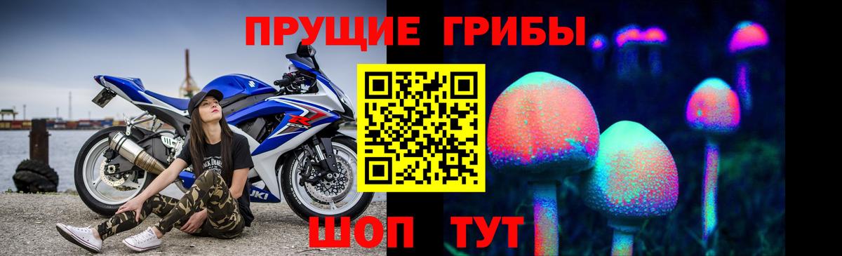 Керчь  Псилоцибиновые грибы GOLDEN TEACHER  Вход с VPN  Галлюциногенные грибы Cubensis 